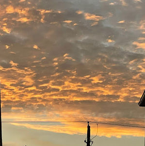 Meet your Posher, Molly